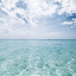 被黑人玩腻的秘书人妻
